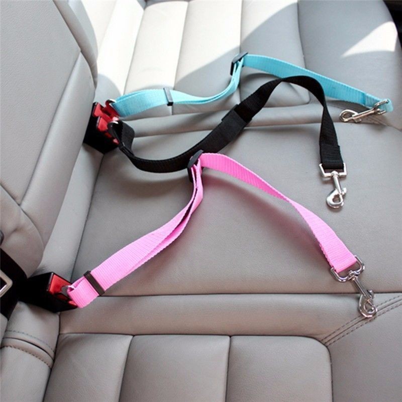 Travel Accessories Dog - Pas bezpieczeństwa dla kota do samochodu
