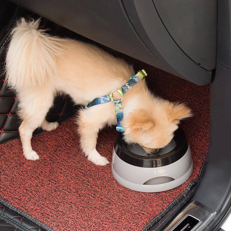 Miski dla psów, pływające, nie – Travel Accessories Dog recenzja i cena