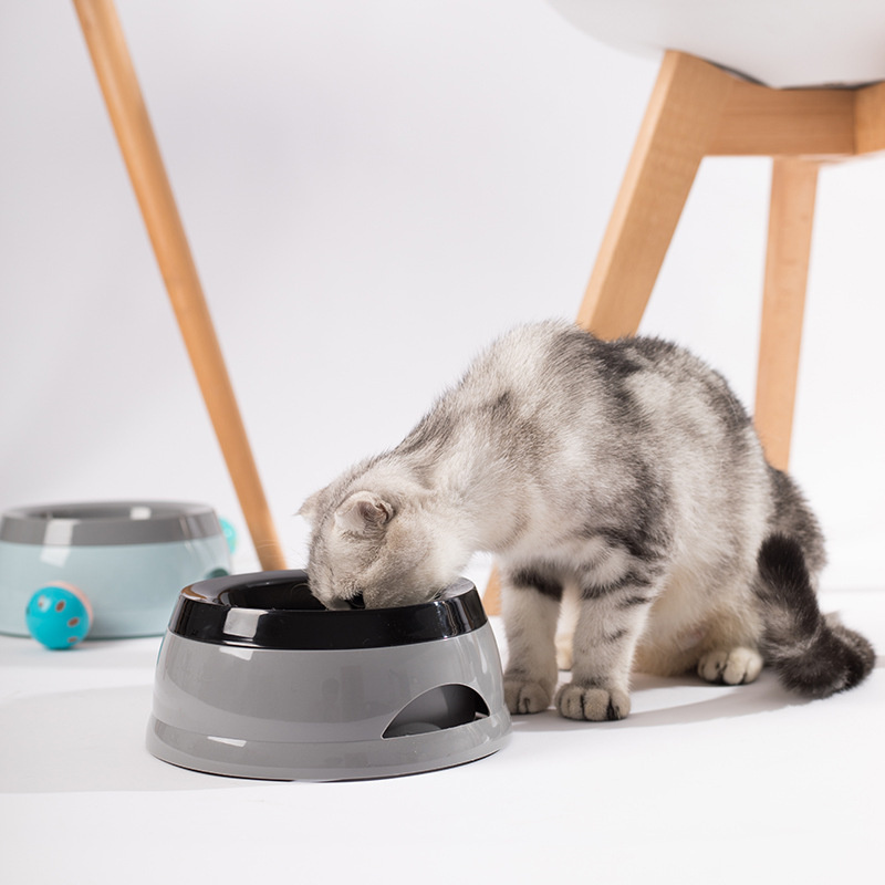 Miski dla psów, pływające, nie – Travel Accessories Dog recenzja i cena