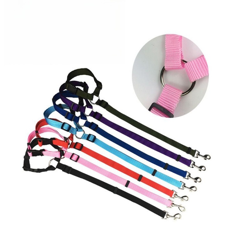 Regulowany pas bezpieczeństwa  – Travel Accessories Dog recenzja i cena