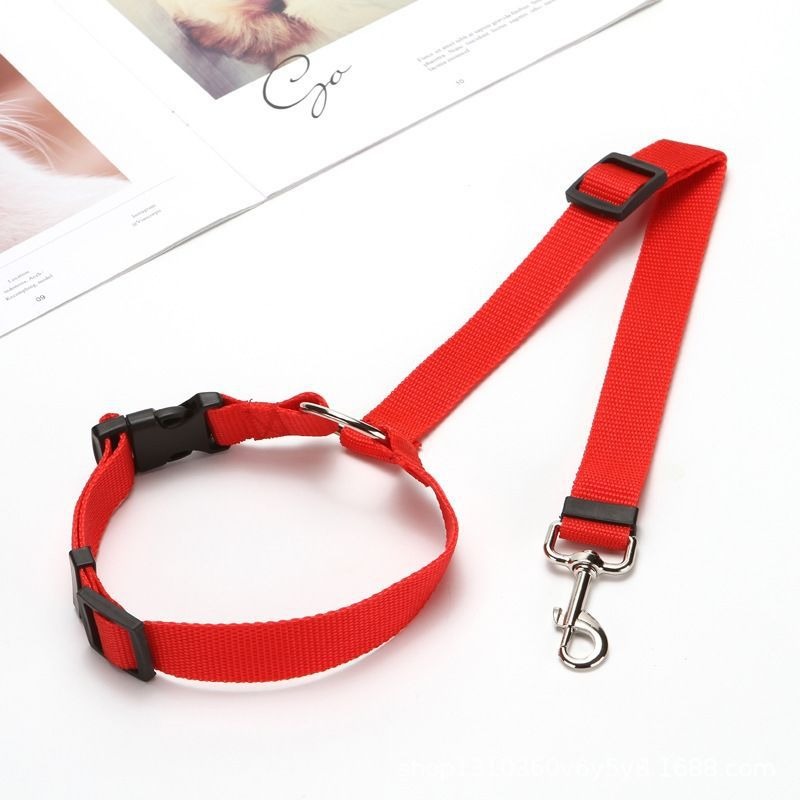 Regulowany pas bezpieczeństwa  – Travel Accessories Dog recenzja i cena